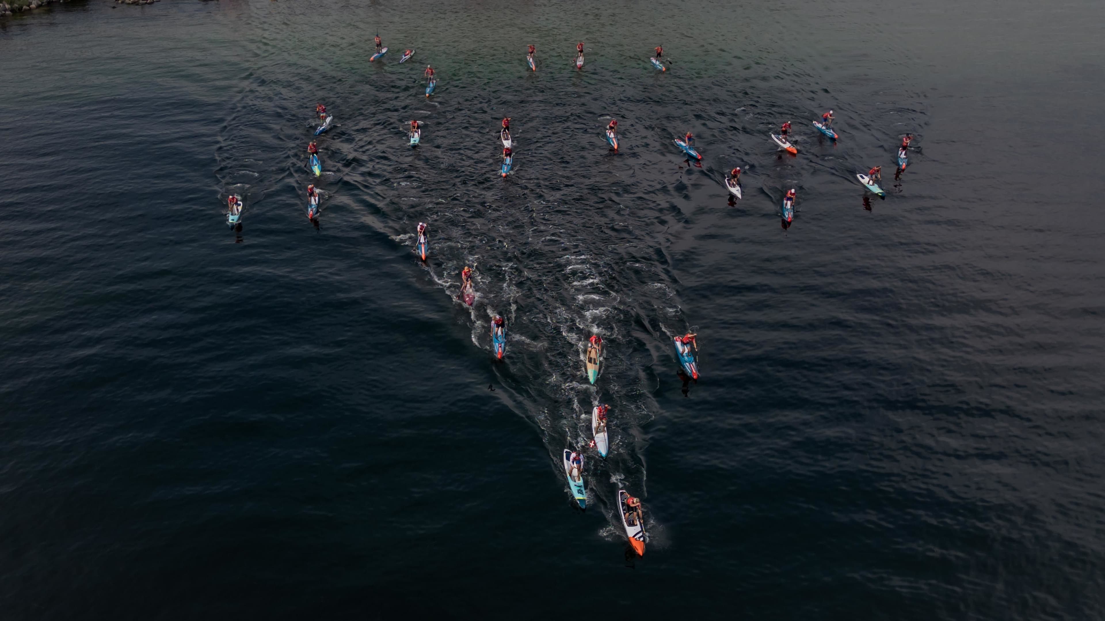 DM i SUP 2024_Amager Strandpark_Foto Cathrine Yde.jpg