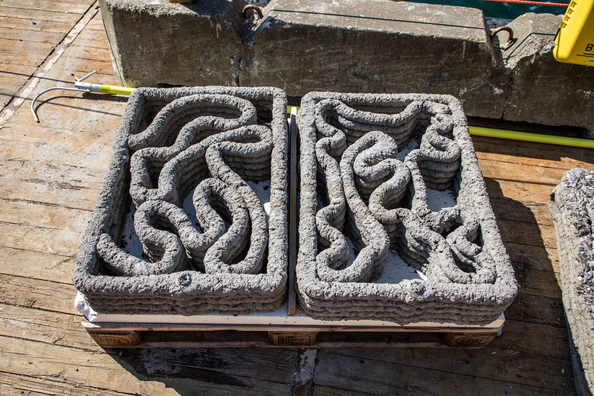 Foto: Jonas Lysholdt Ejderskov